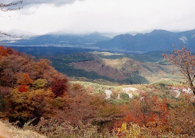 Autumn Leaves from Mt. Haruna