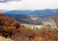 Autumn leaves from Mt. Haruna