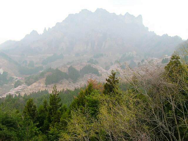 Mt. Myogi with cherry blossoms in full bloom