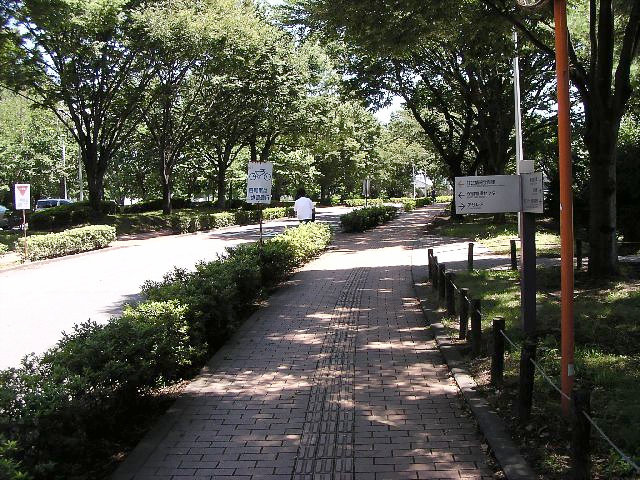 A Scene in Aramaki Campus