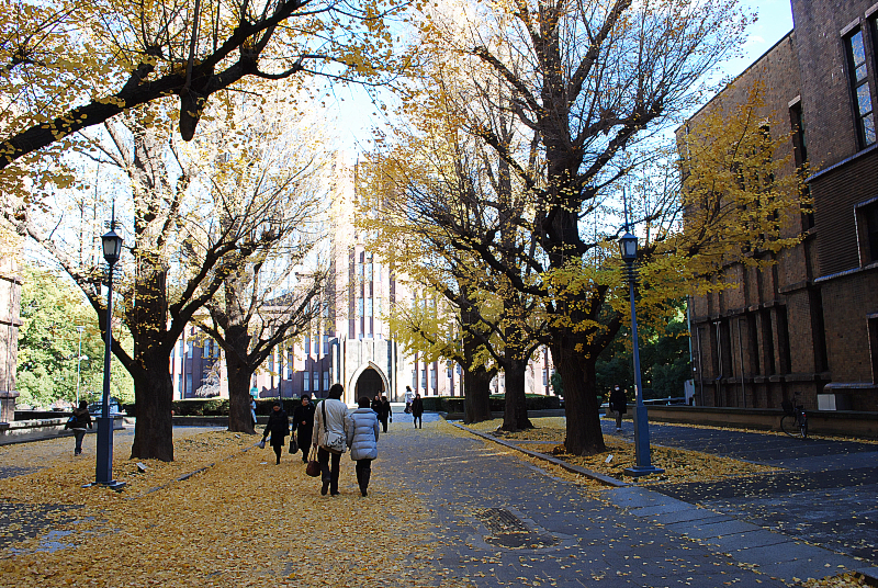 Hongo Campus of Tokyo University