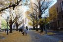 Hongo Campus of Tokyo Uni.