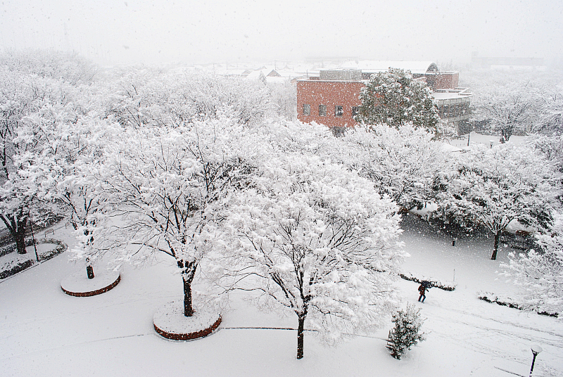 Aramaki Campus in snow.