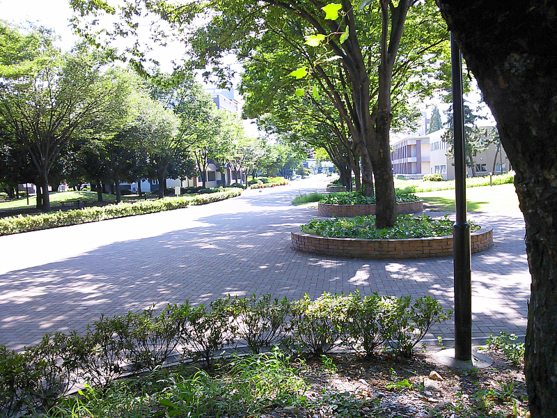 Aramaki Campus, Gunma University