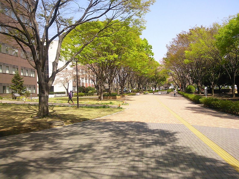 Aramaki Campus, Gunma Uni