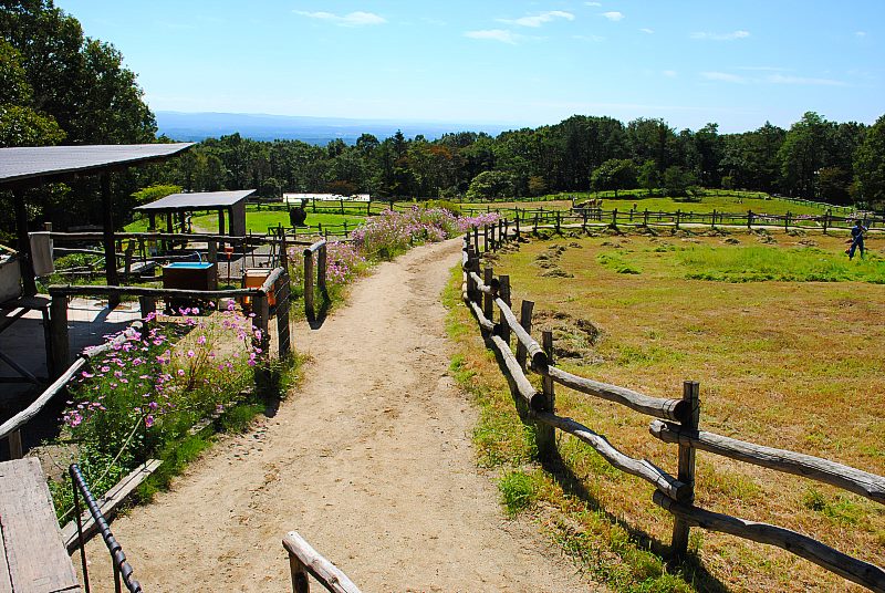 Minamigaoka pasture, Nasu highland, Tochigi prefecture