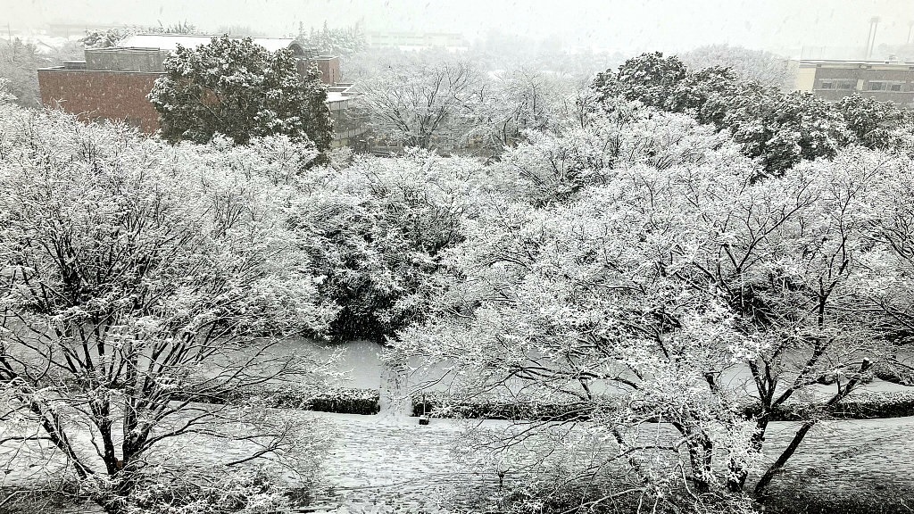 Aramaki Campus in Snow