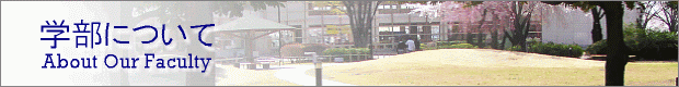 学部について